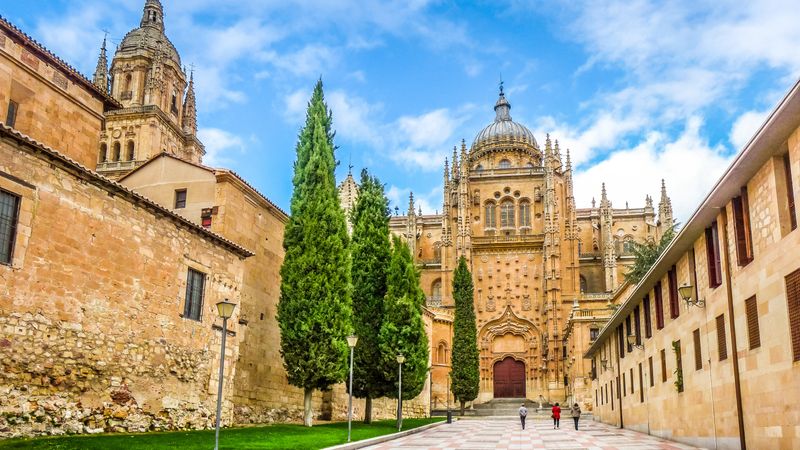 From Portugal to Spain: Porto, the Douro Valley (Portugal) and Salamanca (Spain) (port-to-port cruise)