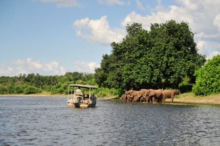 Southern Africa: Once-in-a-lifetime experience on the African Continent with the post-cruise program "From Zimbabwe to South Africa on a Luxury Train" (port-to-port cruise)