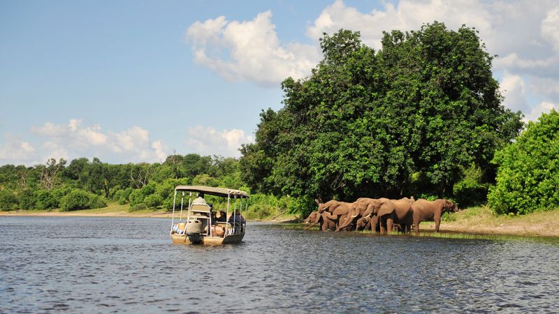 Safari Cruise along the Zambezi River - South Africa, Botswana, Namibia, Zimbabwe (port-to-port cruise)