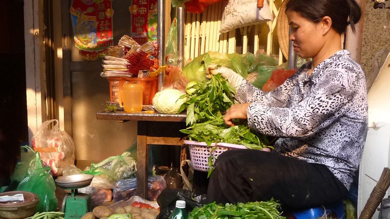 From the Temples of Angkor to the Mekong Delta & Hanoi and Halong Bay (port-to-port cruise)