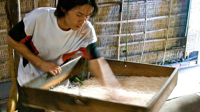 From the Mekong Delta to Siem Reap (port-to-port cruise)