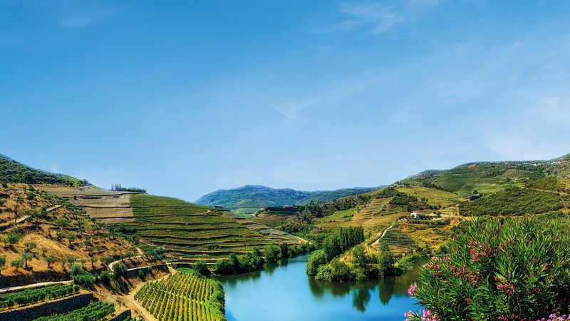 From Portugal to Spain: Porto, the Douro Valley (Portugal) and Salamanca (Spain) (port-to-port cruise)