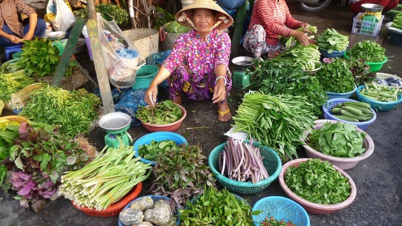 From the Temples of Angkor to the Mekong Delta & The Imperial Cities (port-to-port cruise)