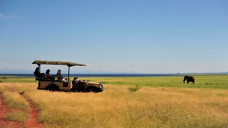 Safari Cruise along the Zambezi River - South Africa, Botswana, Namibia, Zimbabwe (port-to-port cruise)