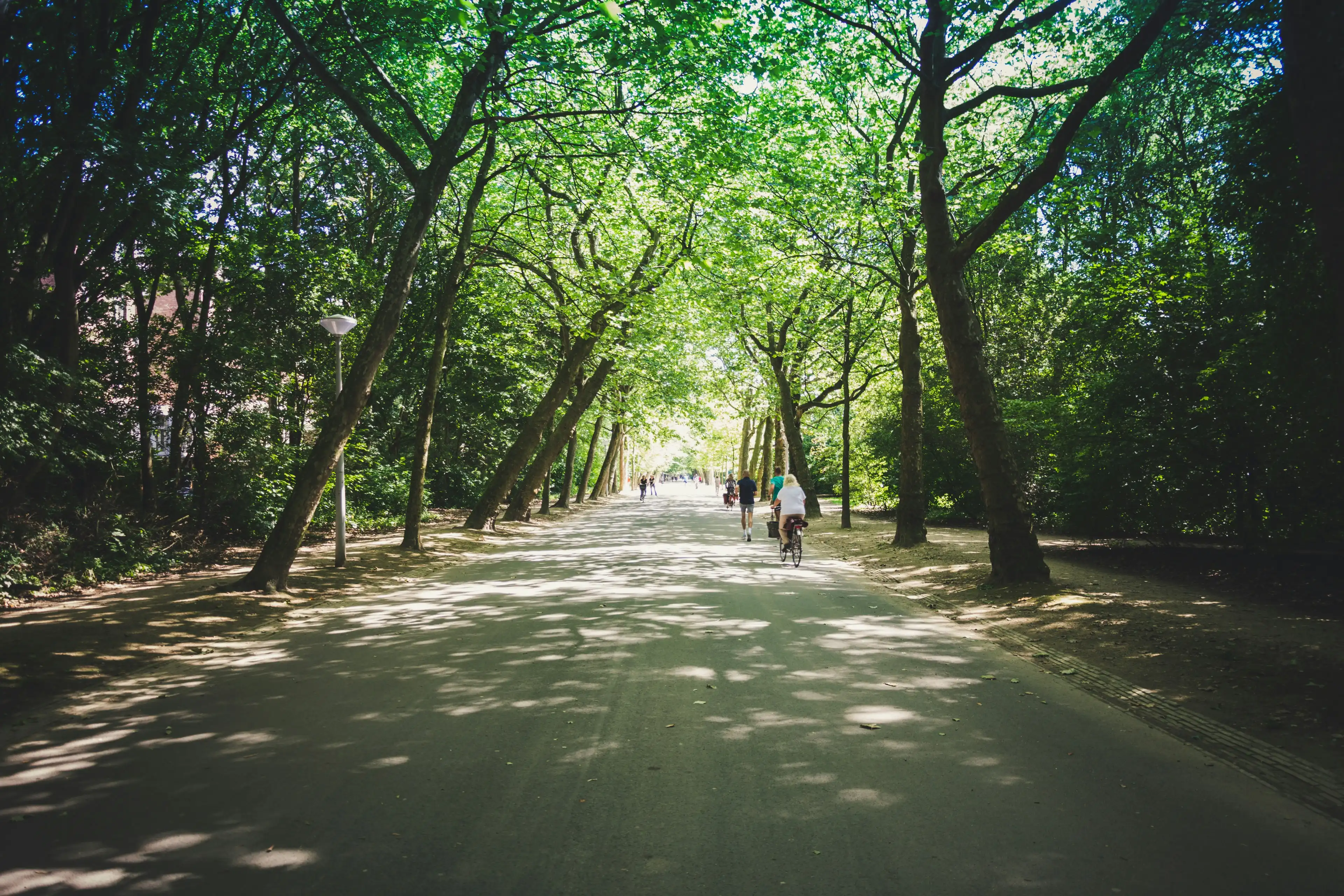 Vondelpark, Amsterdam