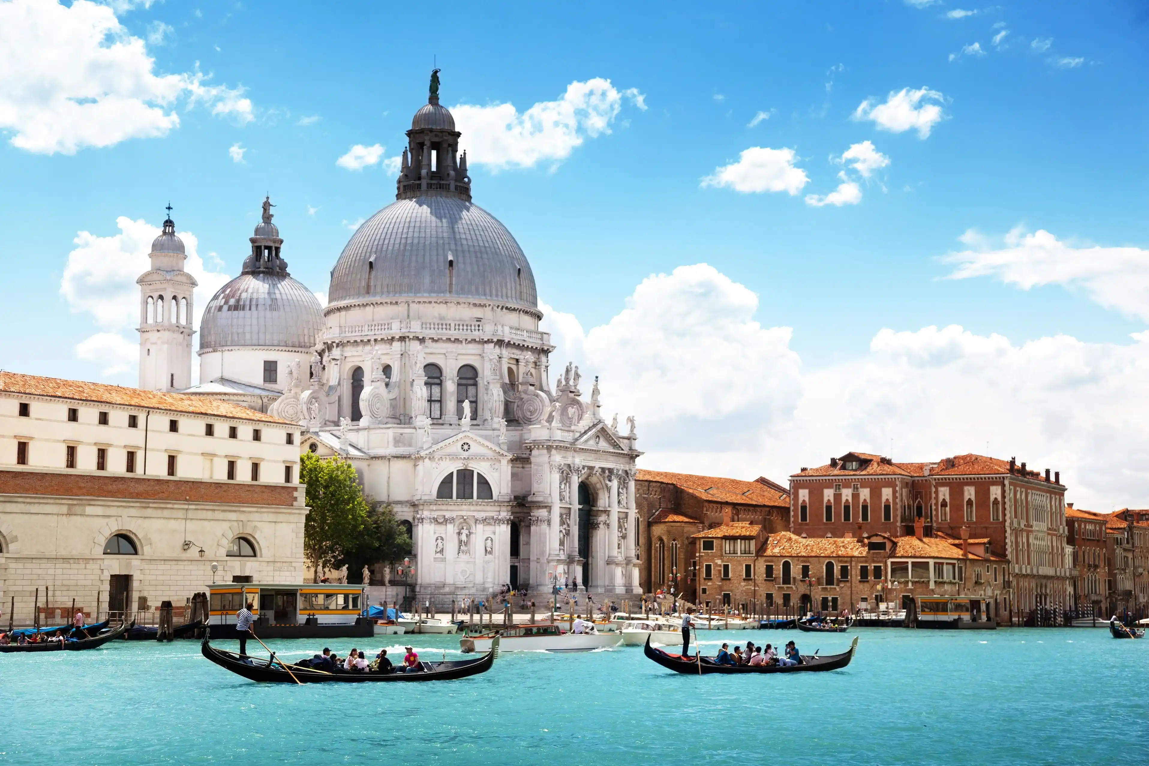 Cruise on the Venice Lagoon and the Po Delta